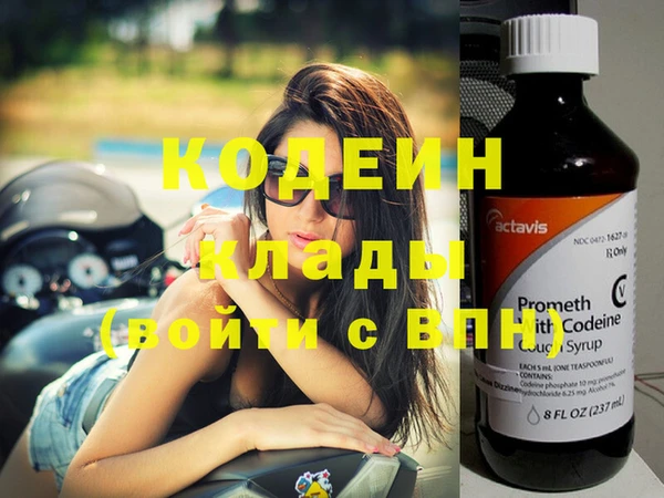 прущие грибы Верхний Тагил