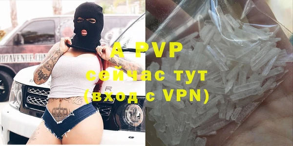 прущие грибы Верхний Тагил