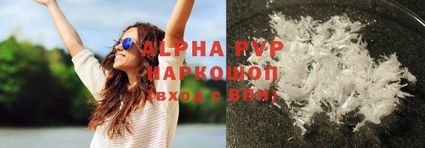 прущие грибы Верхний Тагил