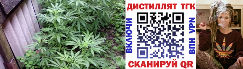 Купить где  Гаджиево  ТГК жижа 
